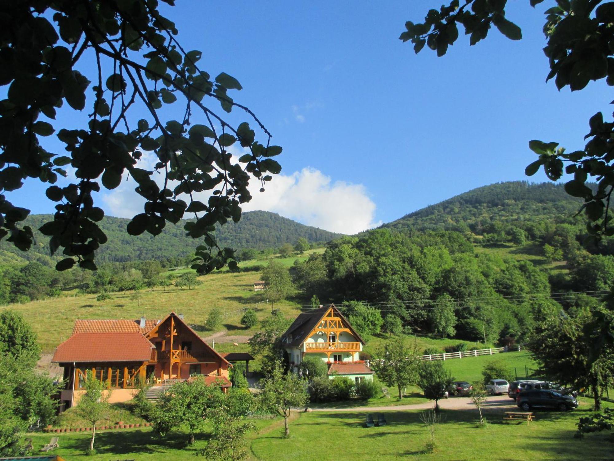 Les Gites La Cerisaie Breitenbach Номер фото